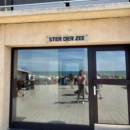 Zeester * Westende-Bad